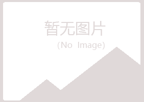 伊春新青丹雪建设有限公司